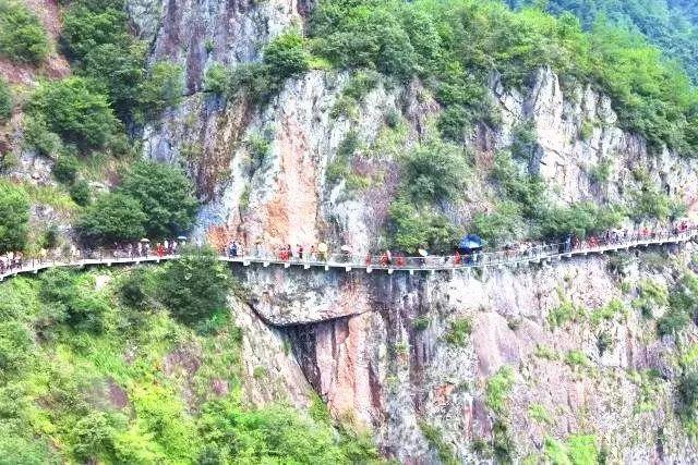 精灵的冒险之旅